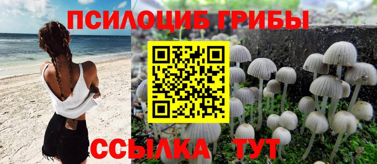 Галлюциногенные грибы Cubensis Кизилюрт