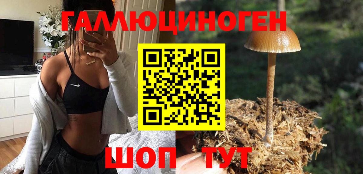 Псилоцибиновые грибы мухоморы  где купить наркоту  Псилоцибиновые грибы GOLDEN TEACHER  Кизилюрт  Вход с VPN 